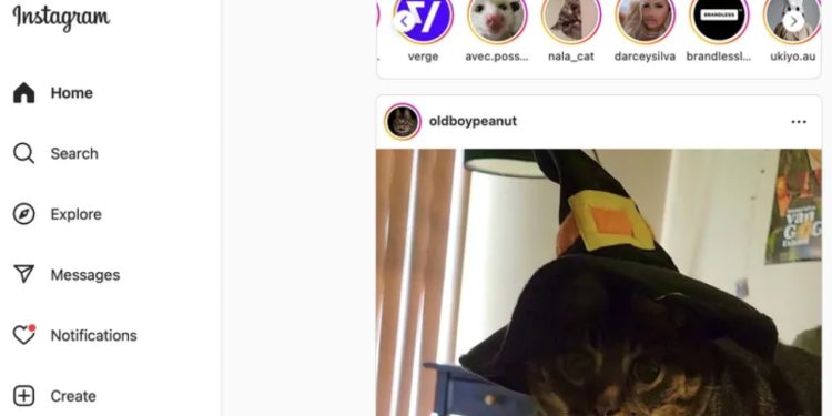 Instagram’ın iPad için uygulama yapmama inadı devam ediyor