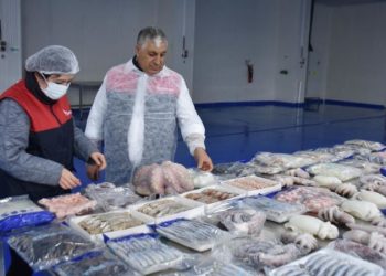 Karadeniz ve Marmara’nın balıkçıları Ege Denizi’nde avlanıyor