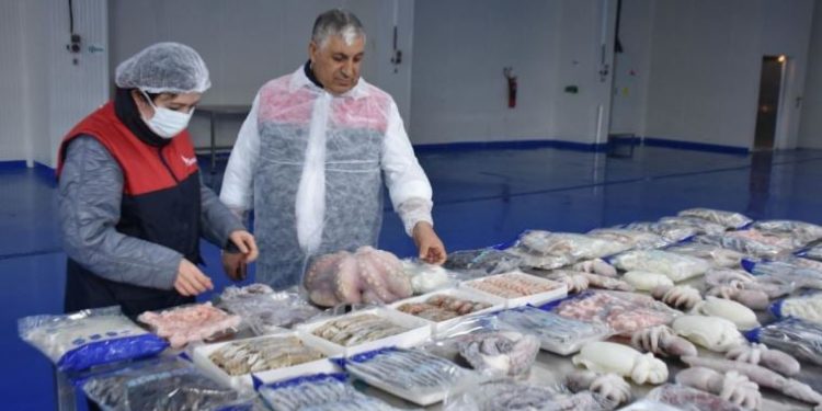 Karadeniz ve Marmara’nın balıkçıları Ege Denizi’nde avlanıyor