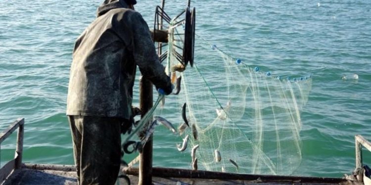 Van Gölü çekildikçe balıkçılar daha uzağa açılmak zorunda kalıyor